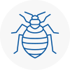 Bed Bug Extermination In Ewell