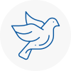 Bird Prevention Ewell