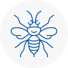 Ewell Hornet Nest Removals