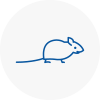 Mice Exterminators In Ewell