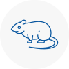 Rat Control Ewell