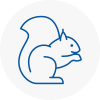Ewell Rodent Removals