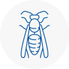 Ewell Wasp Nest Removal